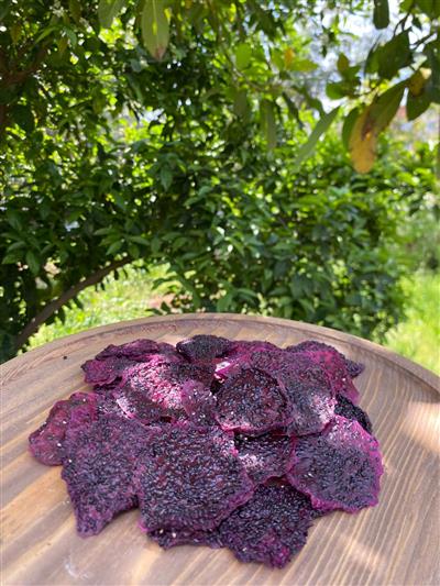 Ejder meyvesi kurusu