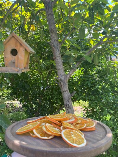 Portakal kurusu 50 gr